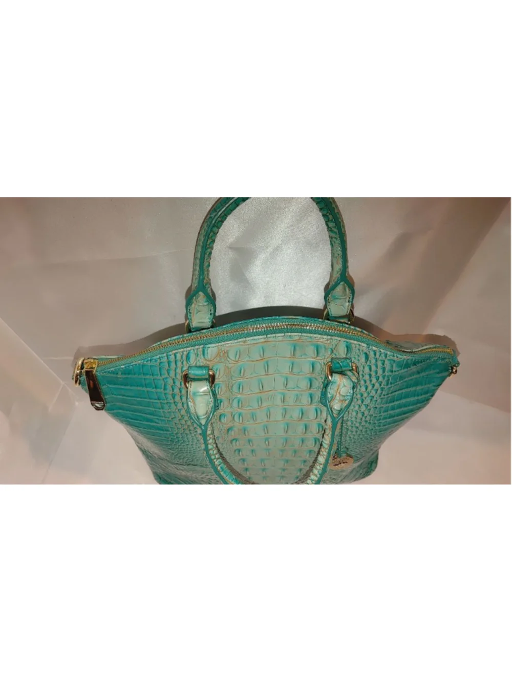 Brahmin Large Duxbury Iguana Satchel
